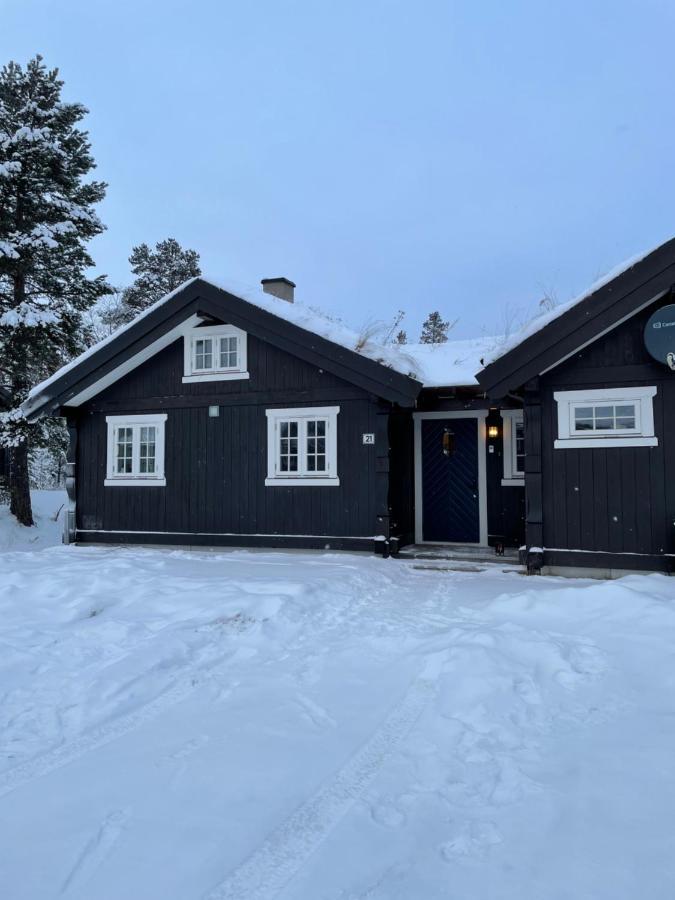 Hytte I Nydelige Jotunhemen - Rett Ved Besseggen Randsverk 외부 사진